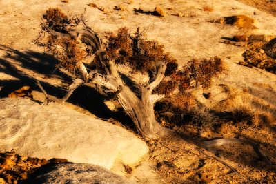 chaco_canyon