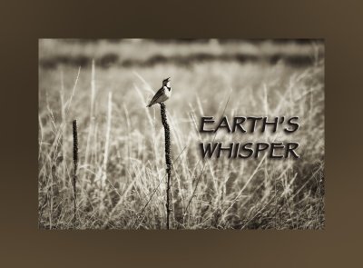 Earth's Whisper