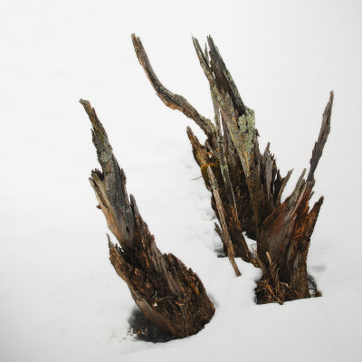 winter_20072008