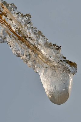 20090110_0324.jpg