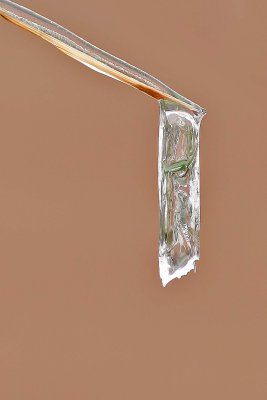 Frozen Drip 2
