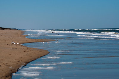 Canaveral Shore