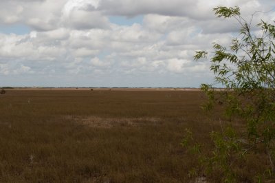 Everglades - General Views