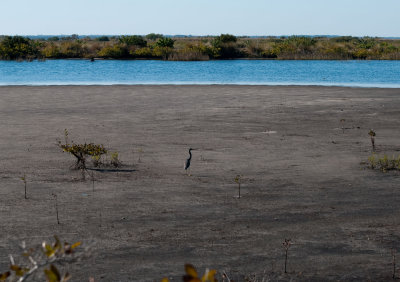 Everglades - General View