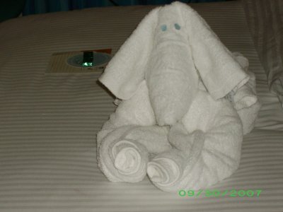 Doggie towel creation.JPG