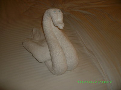 Swan towel creation.JPG