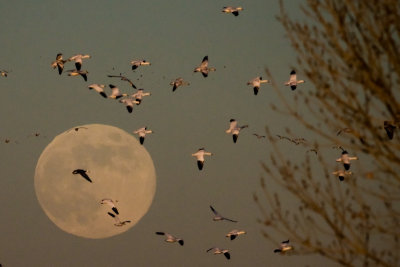 Evening Approaches