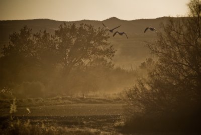 Evening Approaches