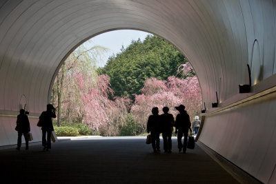 Tunnel to Miho Museum