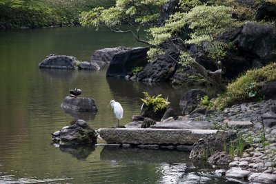 Hama-rikyu Gardens