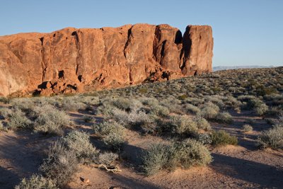IMG_3448.jpg