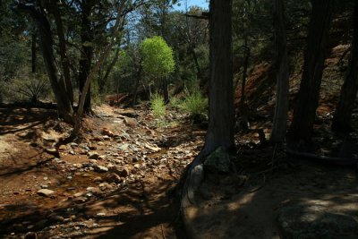 IMG_6728.jpg