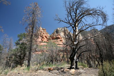 IMG_6757.jpg