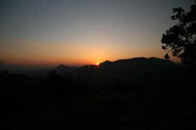 IMG_6783.jpg