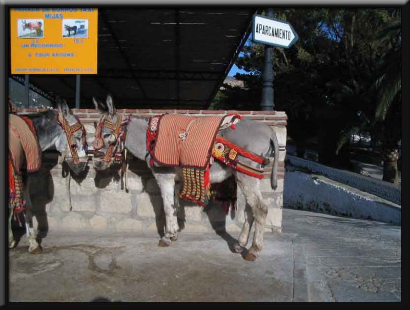 You can take a donkey taxi...