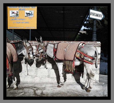 Donkey-Taxi-Mijas.jpg