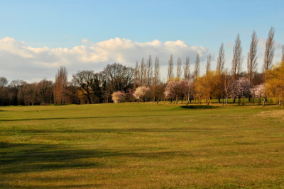 Fairway of the 11th
