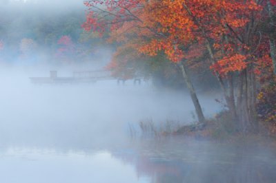 Autumn mist on Carbunkle pond.
