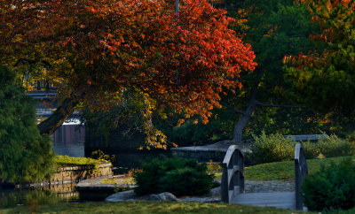 An early morning walk through the park