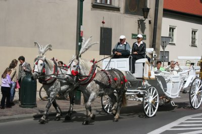 Horse drawn carriage