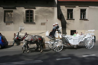 Horse drawn carriage