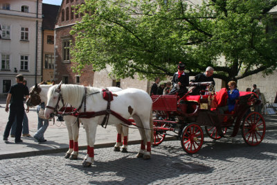 Horse drawn carriage