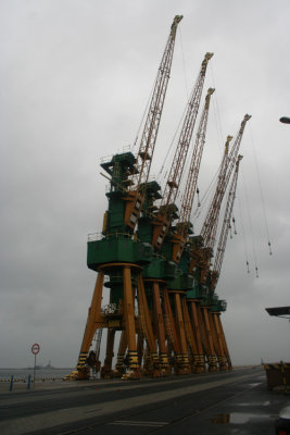 Harbor cranes