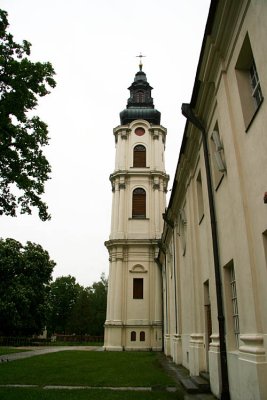 The tower of Basilica