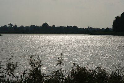 Vitulin Bay
