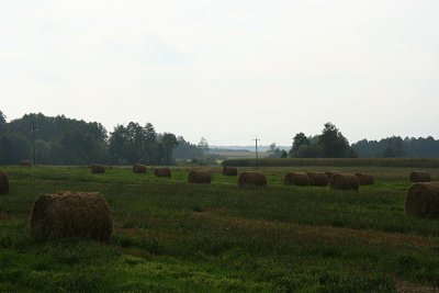 Field