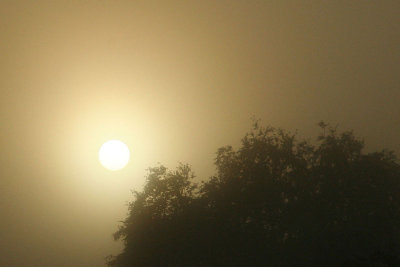 10th October 2009 - Foggy light on the morning
