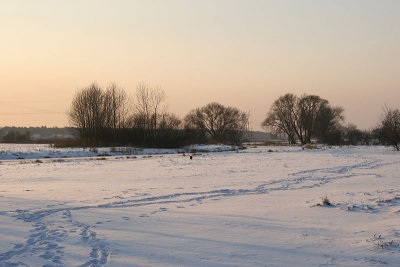 River bend in winter