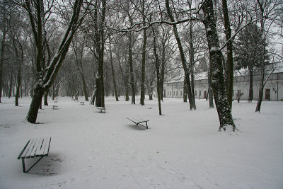 Winter in City Park