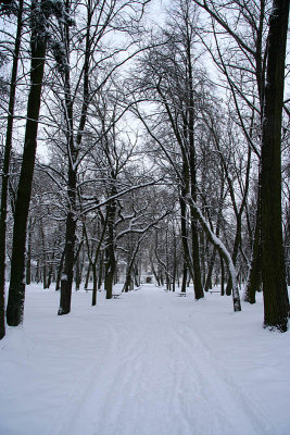 Winter boulevard