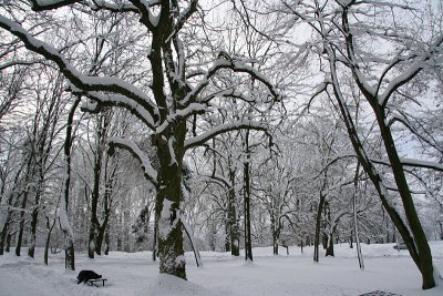 Frosty City Park