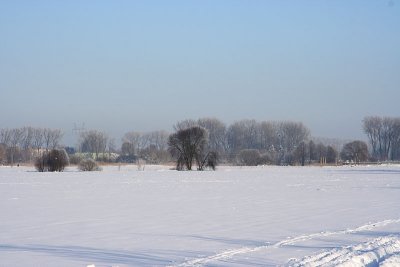 Winter landscape