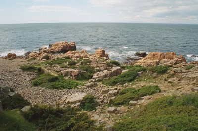 Rocky coast