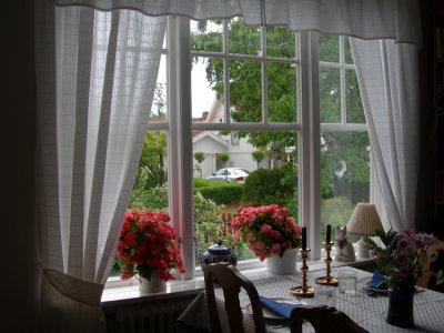 Swedish Interiors