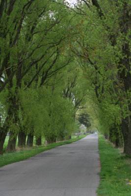 Boulevard