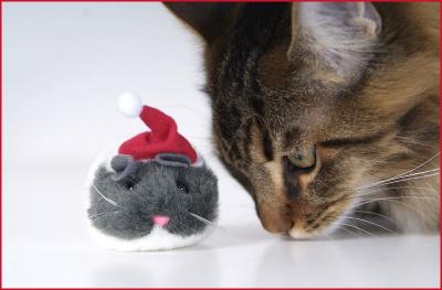 Beau & Santa Mouse