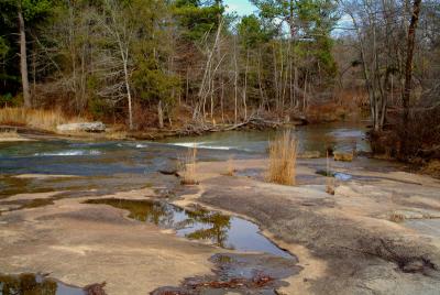 Tribble Mill Park