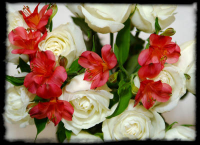 Mar. 20 - bouquet