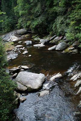 downstream - Cascades of Bull Pen