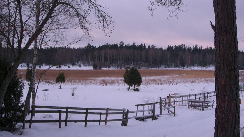 Jrvafltet11.jpg