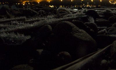 Moonlight5.jpg