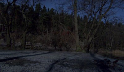 Moonlight8.jpg