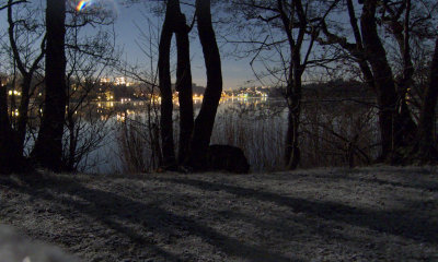 Moonlight9.jpg