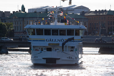 PICT5255.jpg