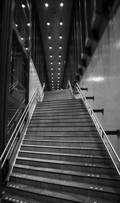 Prize winning photo :) Stairs to train station