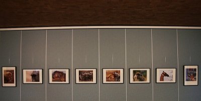 Small exposition - expositie